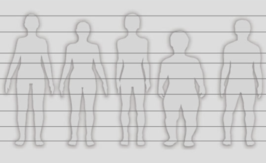Bild Körpertypen