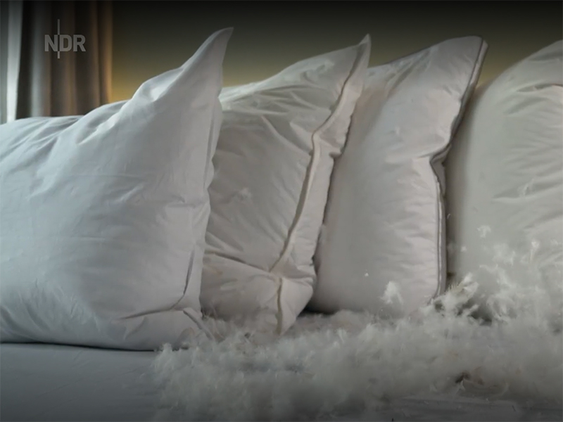 NDR Magazin: Daunenkissen im Test